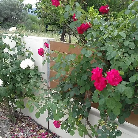 Christina 4* Lygia (Lefkada)