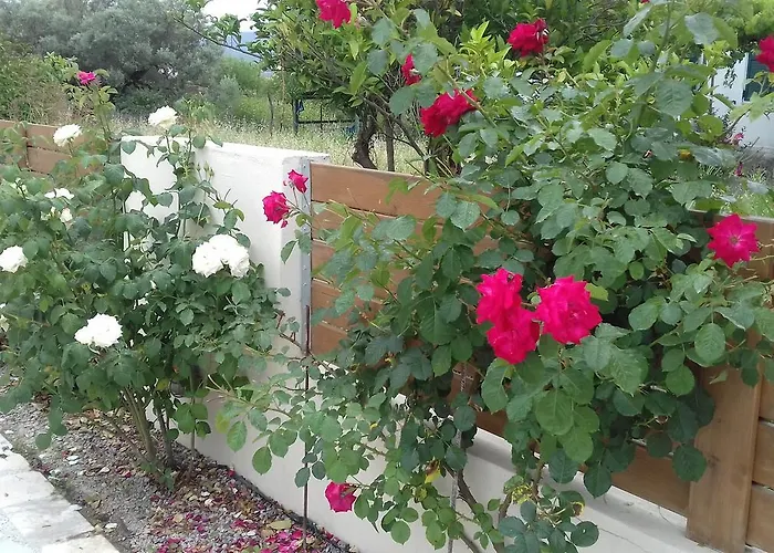 Christina 4* Lygia (Lefkada)